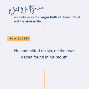 What We Believe at Riverside Christian Assembly: He committed no sin, neither was deceit found in his mouth. 1 Peter 2:22 ESV We believe in the virgin birth of Jesus Christ and His sinless life.